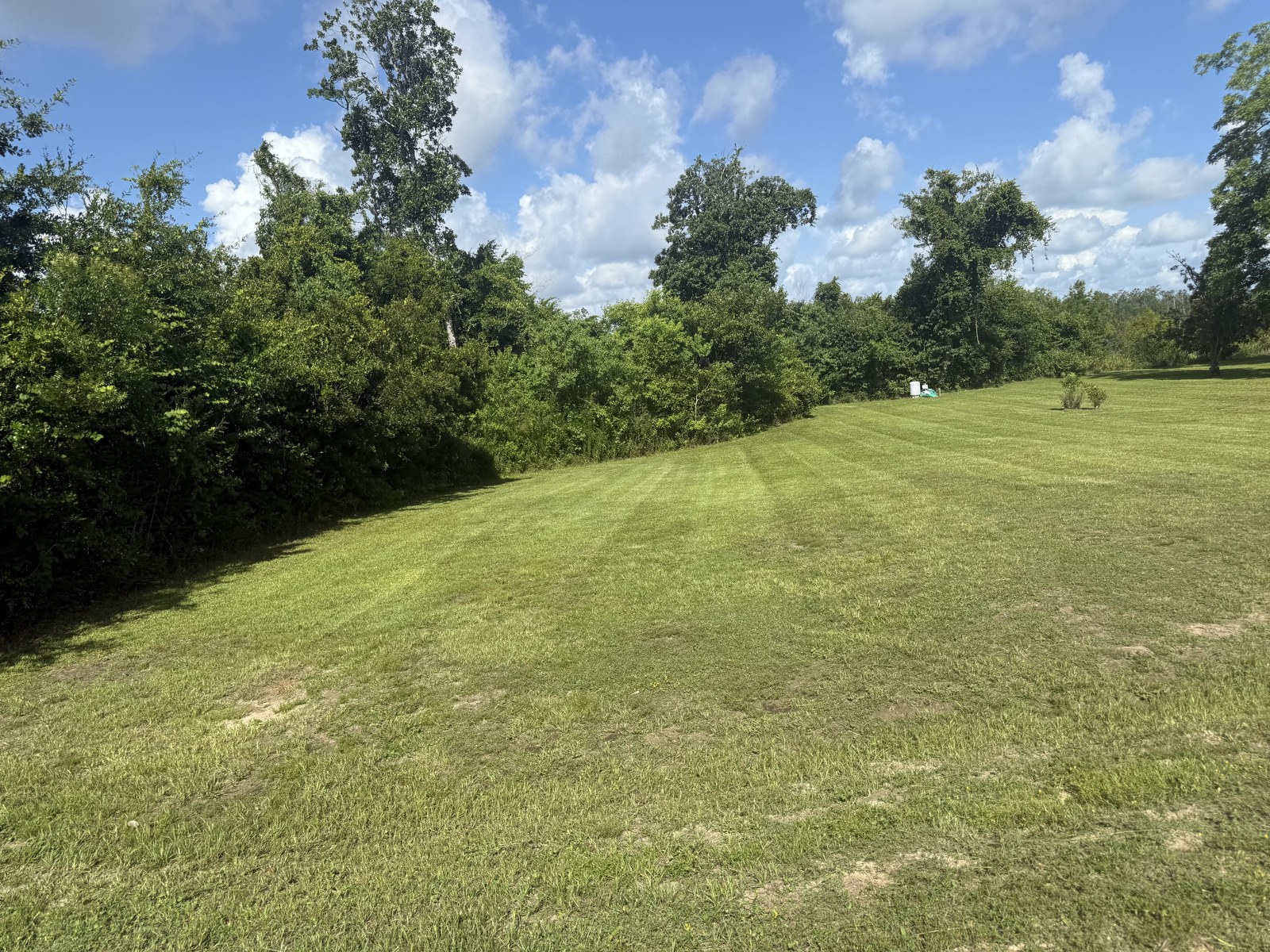 Freshly cut striped green lawn at a Bay County home