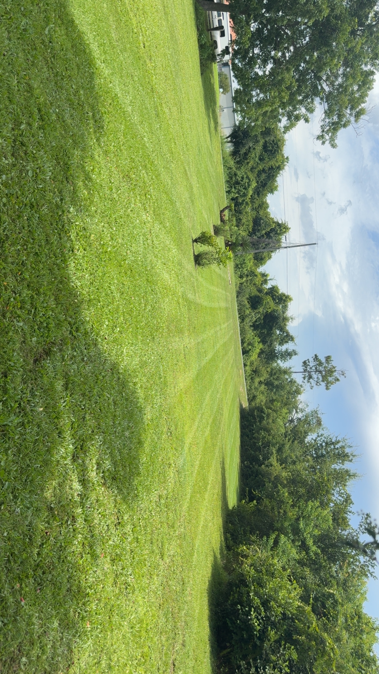 Lush green lawn on a Panama City lot