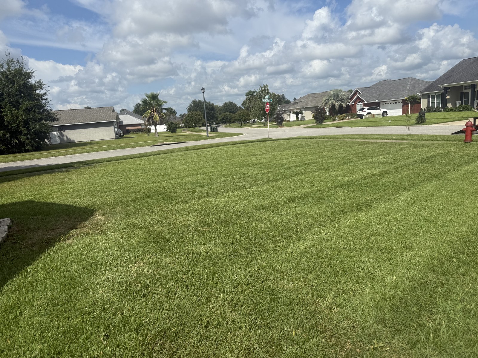 Healthy green lawn along a Bay County street